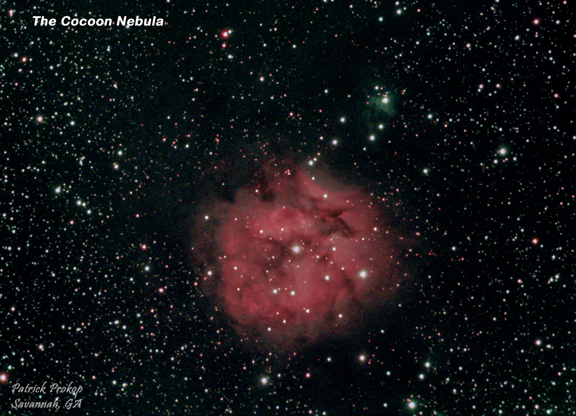 The Cocoon Nebula, August 22, 2019  ... Cropped View ... Click on image for larger view